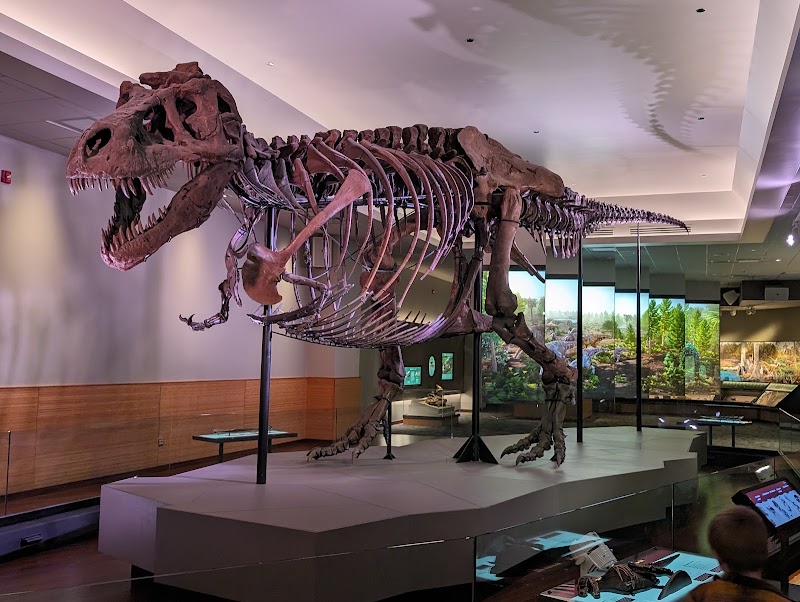 Field Museum - Field Museum, 1400 S Lake Shore Dr, Chicago, IL 60605, USA