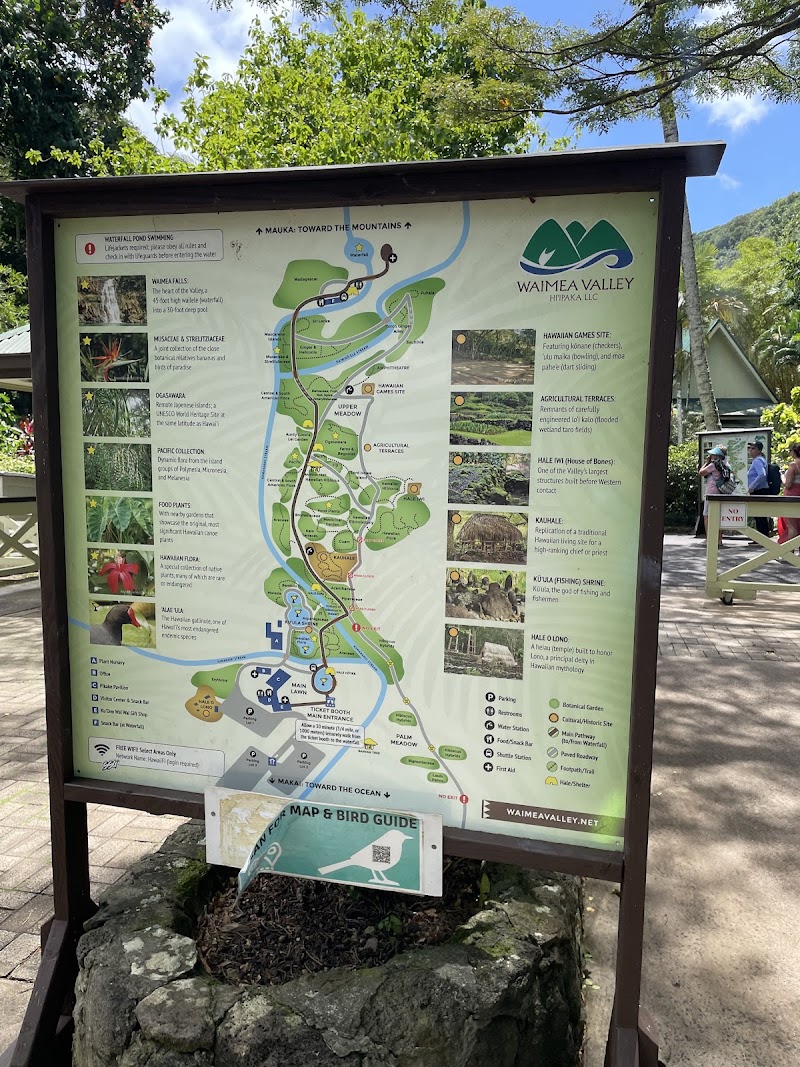 Waimea Valley - Waimea Valley, 59-864 Kamehameha Hwy, Haleiwa, HI 96712, USA