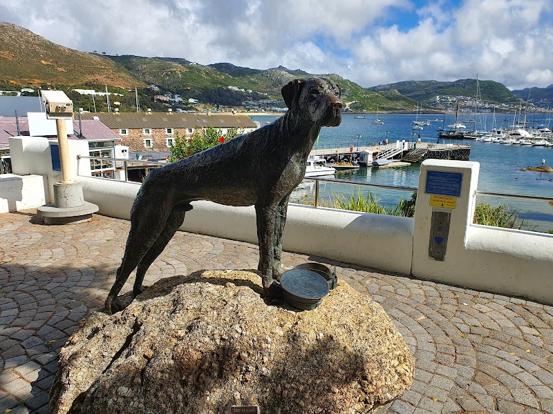 Jubilee Square & Jetty - Jubilee Square & Jetty, St George's St, Simon's Town, Cape Town, 7975, South Africa