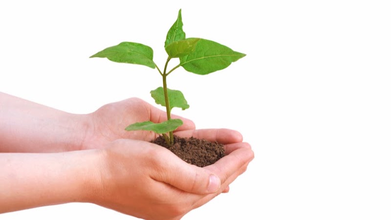 Vrikshawali - An Environmental Preservation Society - Vrikshawali - An Environmental Preservation Society, G.S. Residency 2nd, Flat No. F2, Plot No.141, Purani Chungi,, Ajmer Rd, Modi Nagar, Nirmohi Nagar, Jaipur, Rajasthan 302019, India