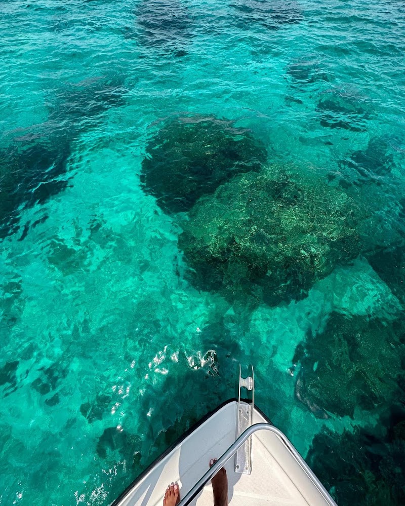 Daymaniyat Islands Sea Tours Oman - Daymaniyat Islands Sea Tours Oman, Al Mouj Marina, Muscat 111, Oman