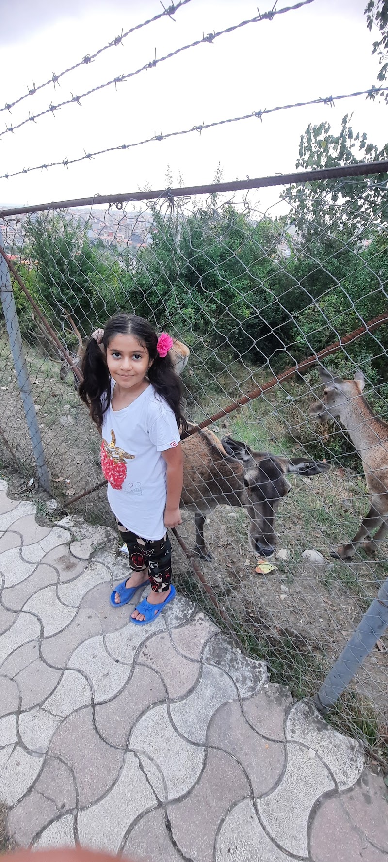 پارک سیاهداران - پارک سیاهداران, QVJX+HGW, Hashtpar, Gilan Province, Iran