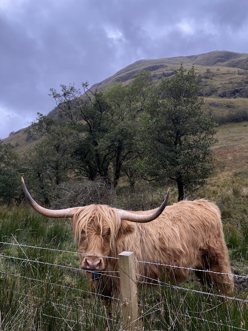 Glencoe Visitor Centre - National Trust for Scotland - Glencoe Visitor Centre - National Trust for Scotland Visitor Centre, Glencoe, Ballachulish PH49 4HX, UK
