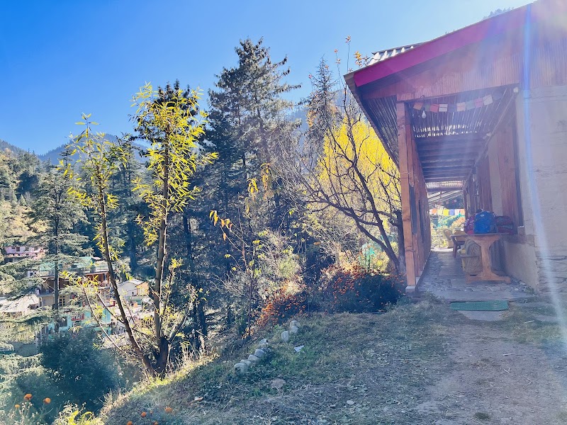Riverside Cottage Apple orchard - Riverside Cottage Apple orchard Bus Stop, NH 305, Jibhi, Himachal Pradesh 175123, India