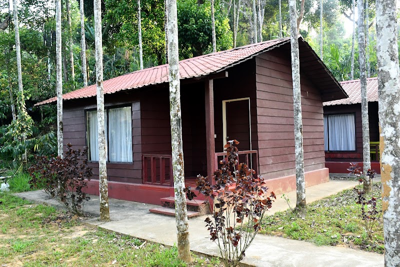 Lazo Areca Resort , Coorg