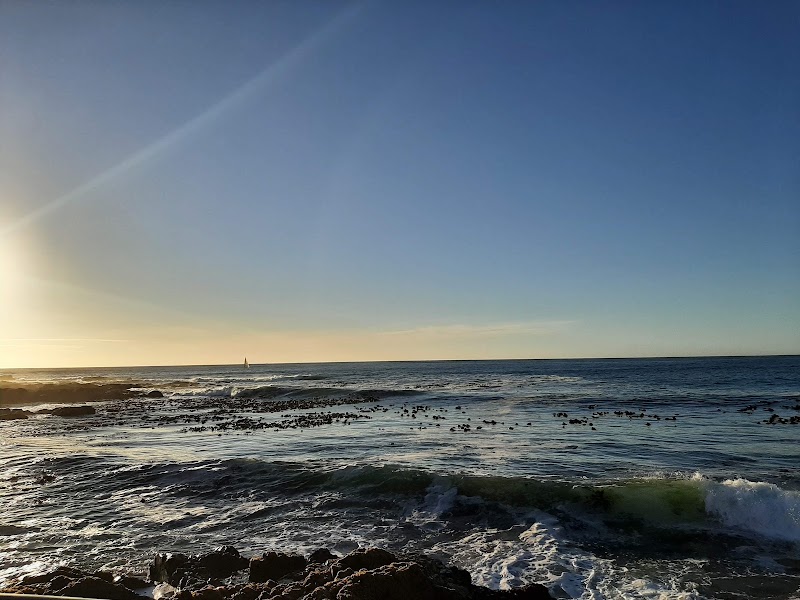 Sea Point Promenade - Sea Point Promenade, Sea Point, Cape Town, 8005, South Africa
