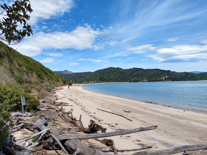 Wainui Bay - Wainui Bay Wainui Bay, Tasman Region, New Zealand