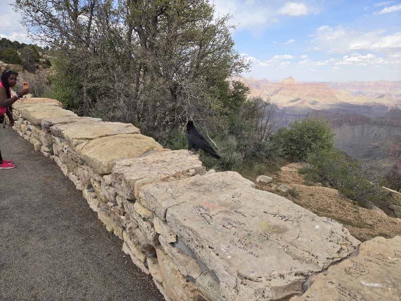 Duck on a Rock Viewpoint - Duck on a Rock Viewpoint, Grand Canyon Village, AZ 86023, USA