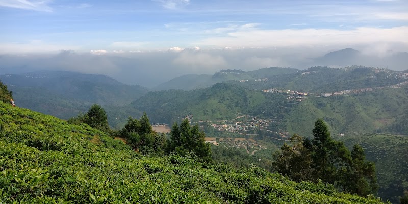 Conoor Tea Estates - Conoor Tea Estates 9RCM+4V5, Yedapalli, Tamil Nadu 643103, India