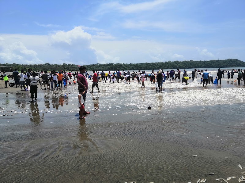 Caranzalem Beach - Caranzalem Beach Caranzalem Beach, Panaji, Goa, India
