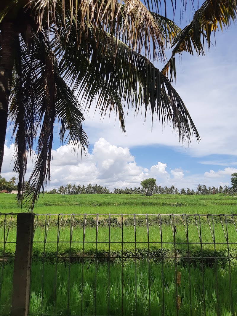 Uma Sari Ubud Villas - Uma Sari Ubud Villas F7CC+6P2, Jl. Cok Rai Pudak, Peliatan, Kecamatan Ubud, Kabupaten Gianyar, Bali 80571, Indonesia