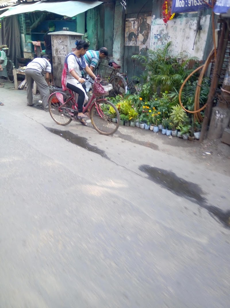 Kalighat Road - Kalighat Road, Kalighat Rd, Kolkata, West Bengal, India