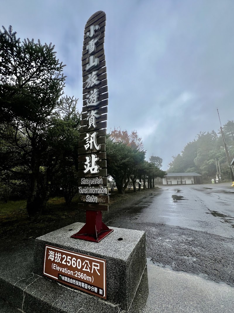 Xueshan Giant Tree - Xueshan Giant Tree, Bo'ai Village, Heping District, Taichung City, Taiwan 424