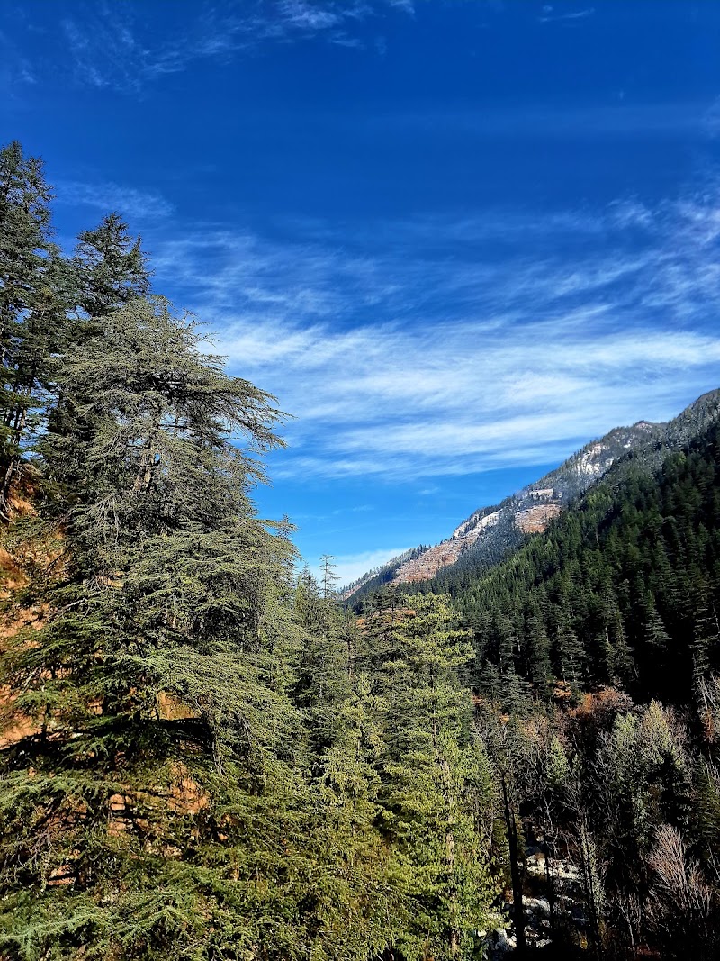 Bradhi Resort - Bradhi Resort near, near Jibhi, Ghiyagi, Himachal Pradesh 175123, India