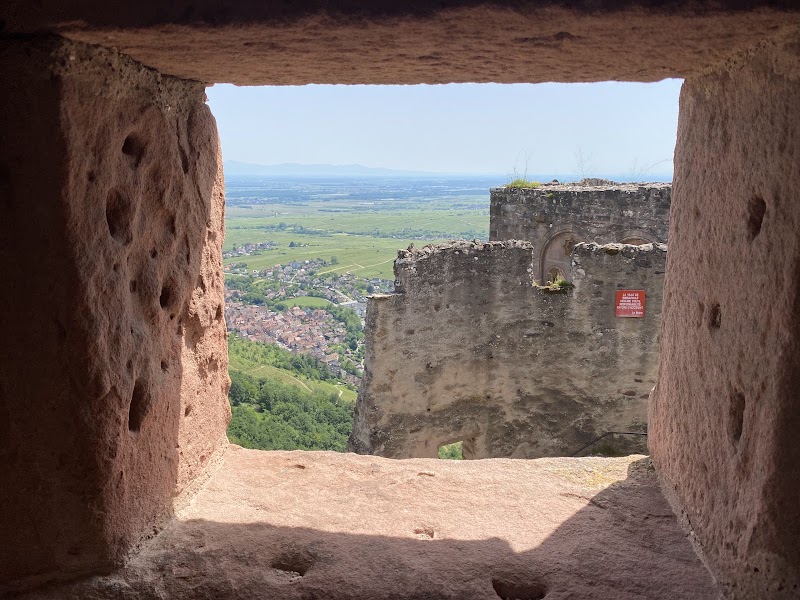 Château de Saint-Ulrich - Château de Saint-Ulrich, 68150 Ribeauvillé, France