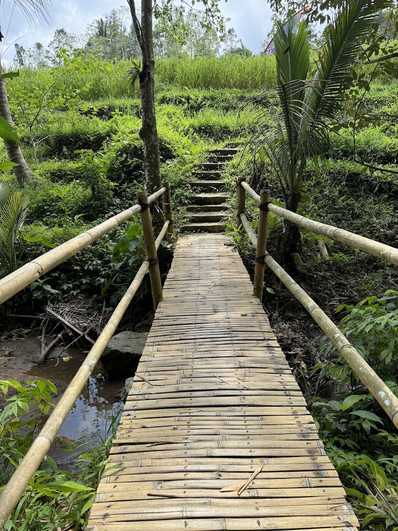 Ubud tour | Bali Tour | Bali Ubud Taxi driver Private - Puja - Ubud tour | Bali Tour | Bali Ubud Taxi driver Private - Puja, Jl. Monkey Forest, Ubud, Kecamatan Ubud, Kabupaten Gianyar, Bali 80571, Indonesia