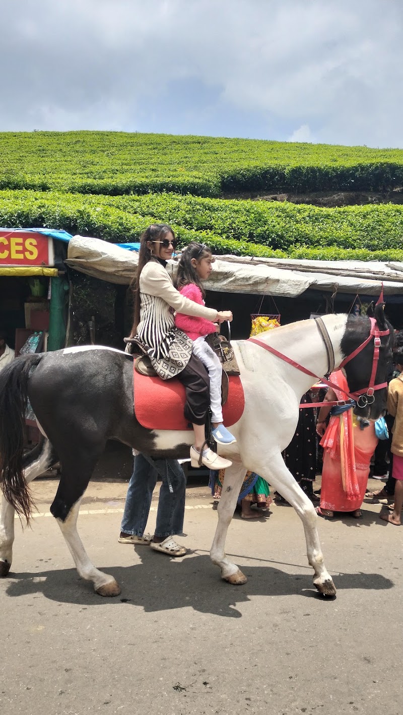 Photo Point - Photo Point, Munnar - Top Station Hwy, Kannan Devan Hills, Kerala 685616, India