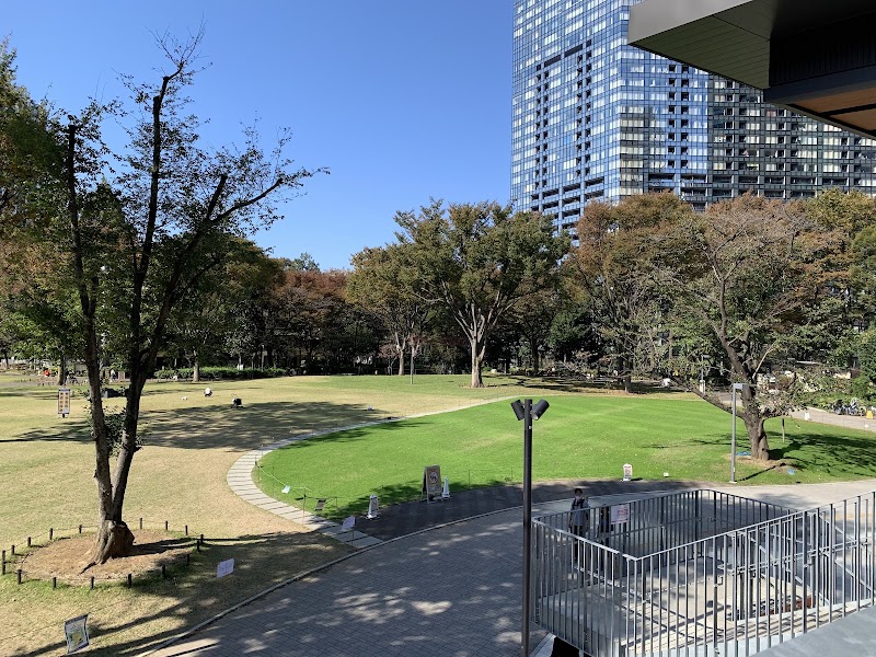 Shinjuku Chūō Park - Shinjuku Chūō Park 2 Chome-11 Nishishinjuku, Shinjuku City, Tokyo 160-0023, Japan