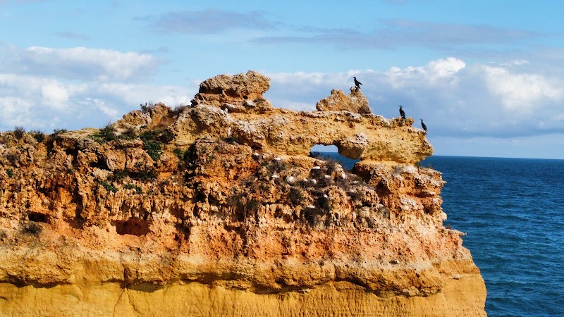 Parque de merendas da Praia da Marinha - Parque de merendas da Praia da Marinha, Estr. da Marinha, Caramujeira, 8400-407 Lagoa, Portugal