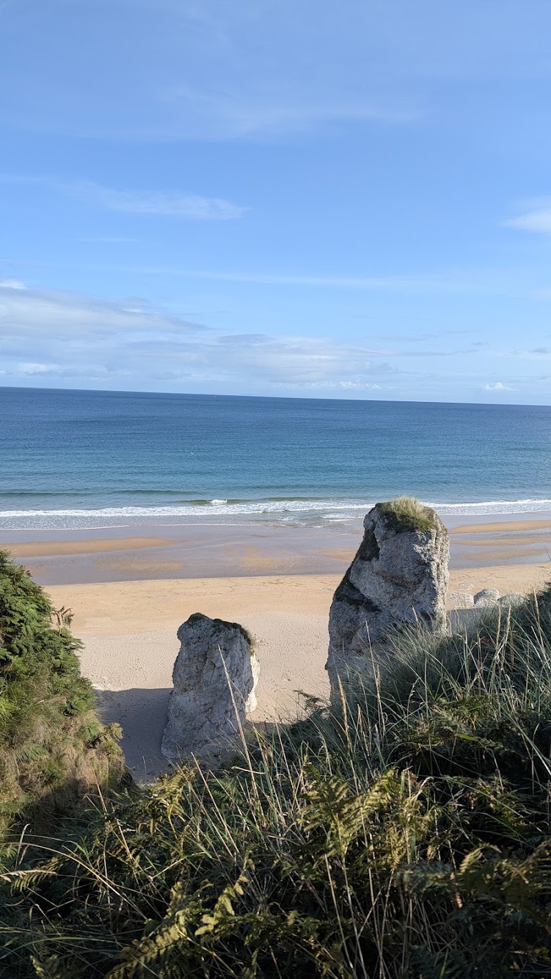 Causeway Coastal Route - Causeway Coastal Route, Ballintoy, Ballycastle BT54 6NE, UK