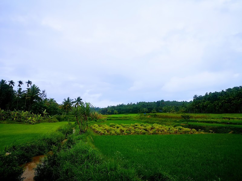 Nenmeni - Nenmeni, Keralam, India