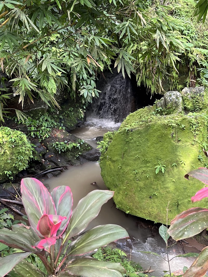 Goa Gajah - Goa Gajah Bedulu, Blahbatuh, Gianyar Regency, Bali, Indonesia