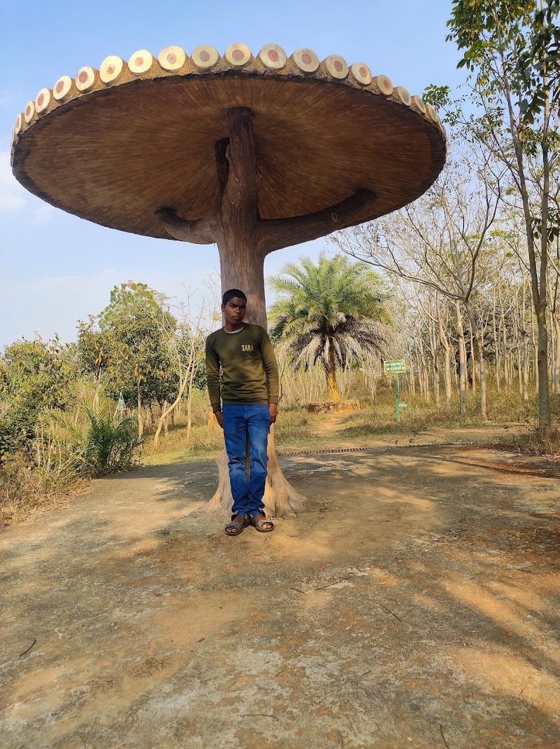Aanand Ban Umerkote - Aanand Ban Umerkote, M644+RX4, Nowrangpur, Odisha 764073, India