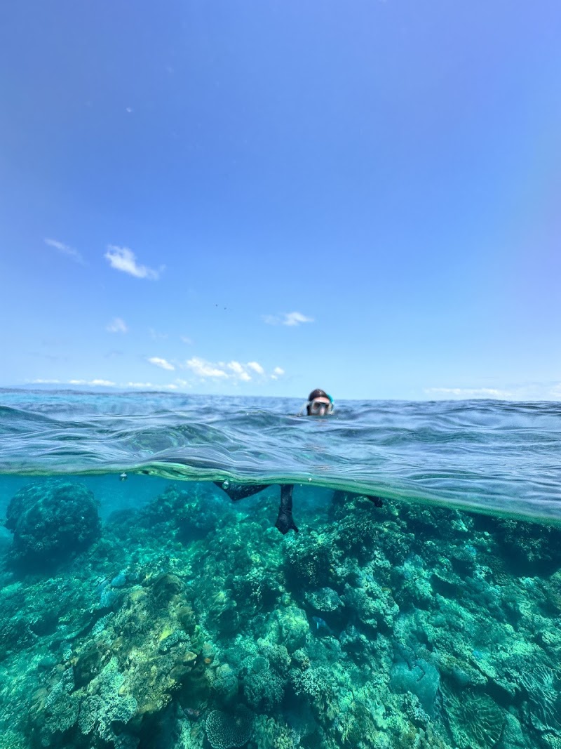 Wavelength Reef Cruises - Wavelength Reef Cruises Shop 6/43-47 Macrossan St, Port Douglas QLD 4877, Australia