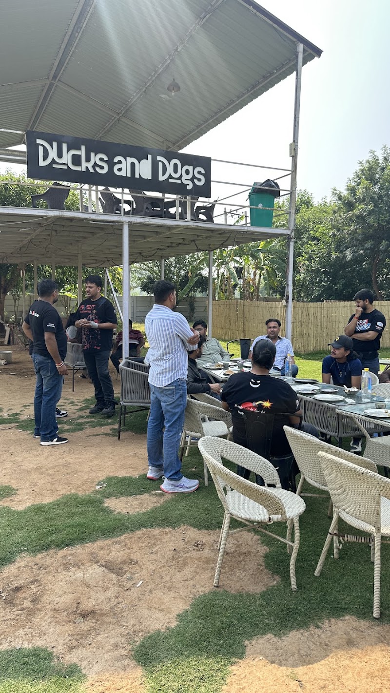 Ducks and Dogs Cafe - Ducks and Dogs Cafe Pandala Hills, Garat Pur Bas, Haryana 122101, India