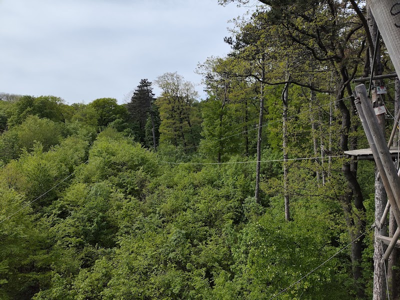 Waldseilpark Kahlenberg - Waldseilpark Kahlenberg, Josefsdorf 47, 1190 Wien, Austria
