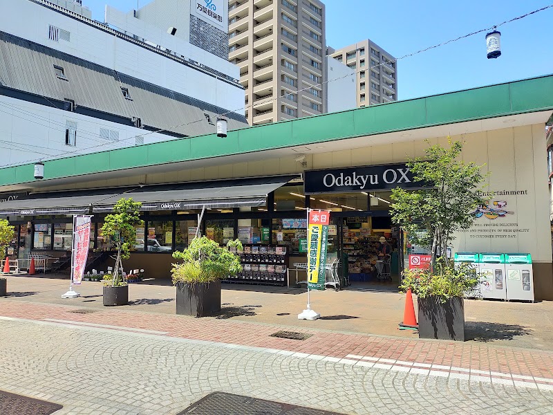 Odakyu OX Odawara
