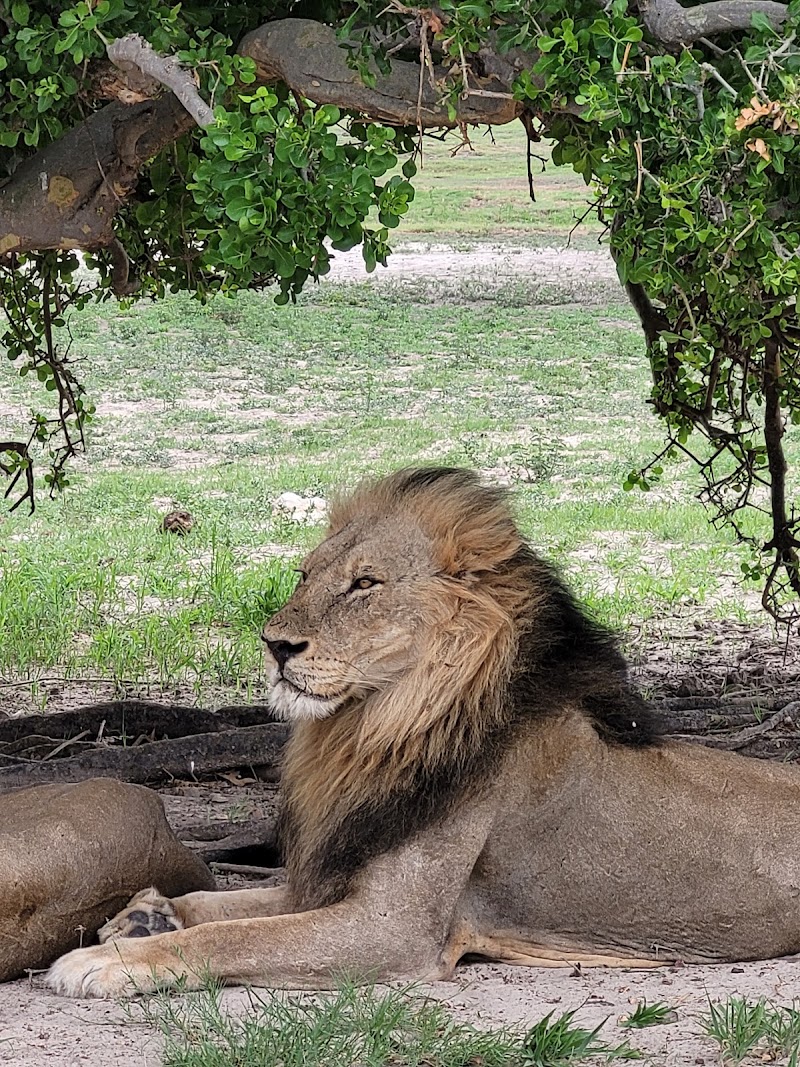 Kasane - Kasane, Botswana