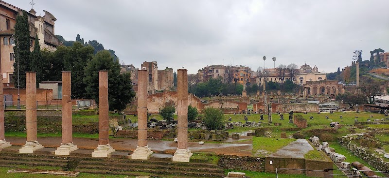 Trastevere/Pascarella - Trastevere/Pascarella, 00153 Rome, Metropolitan City of Rome Capital, Italy