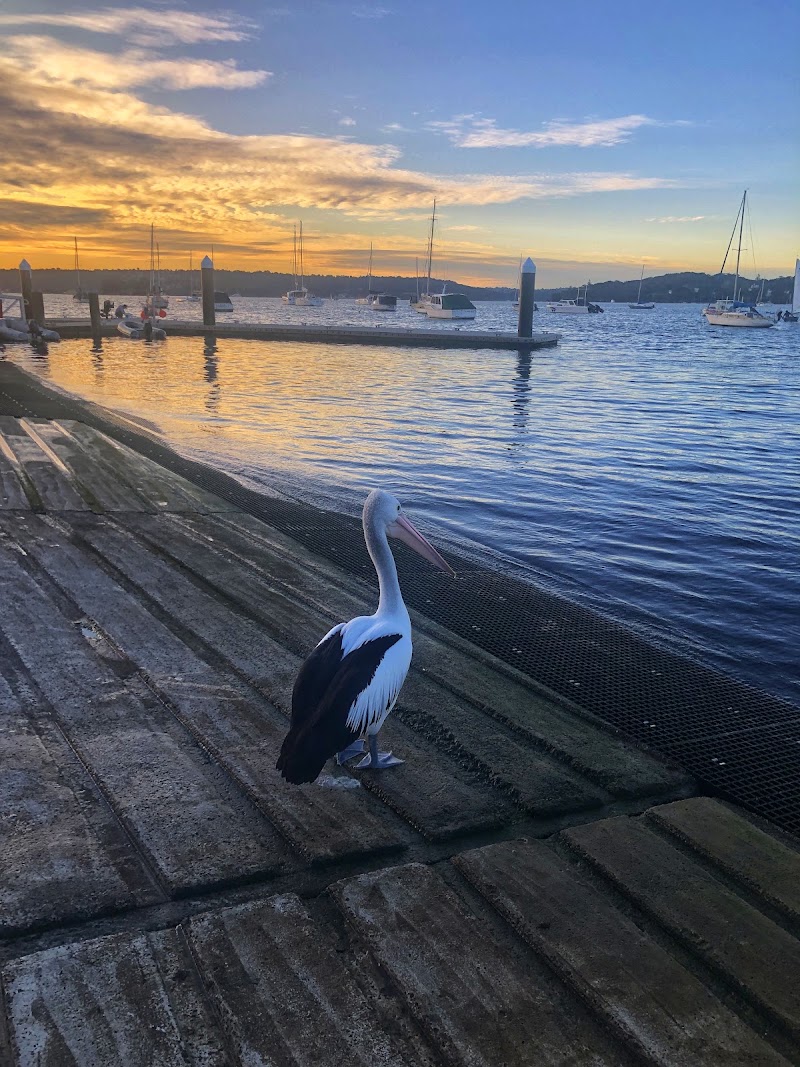 Rose Bay - Rose Bay NSW 2029, Australia