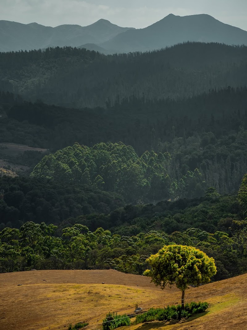 Nilgiri hills view point - Nilgiri hills view point Nelliyalam, Nadugani, Tamil Nadu 643211, India
