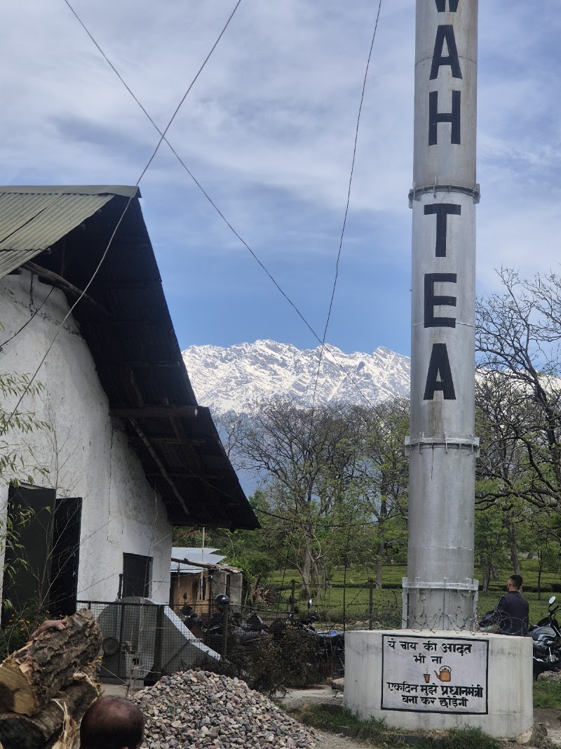 Wah Tea Estate - Wah Tea Estate, Panchrukhi Rd, Patti, Deogran, Dohal, Himachal Pradesh 176067, India