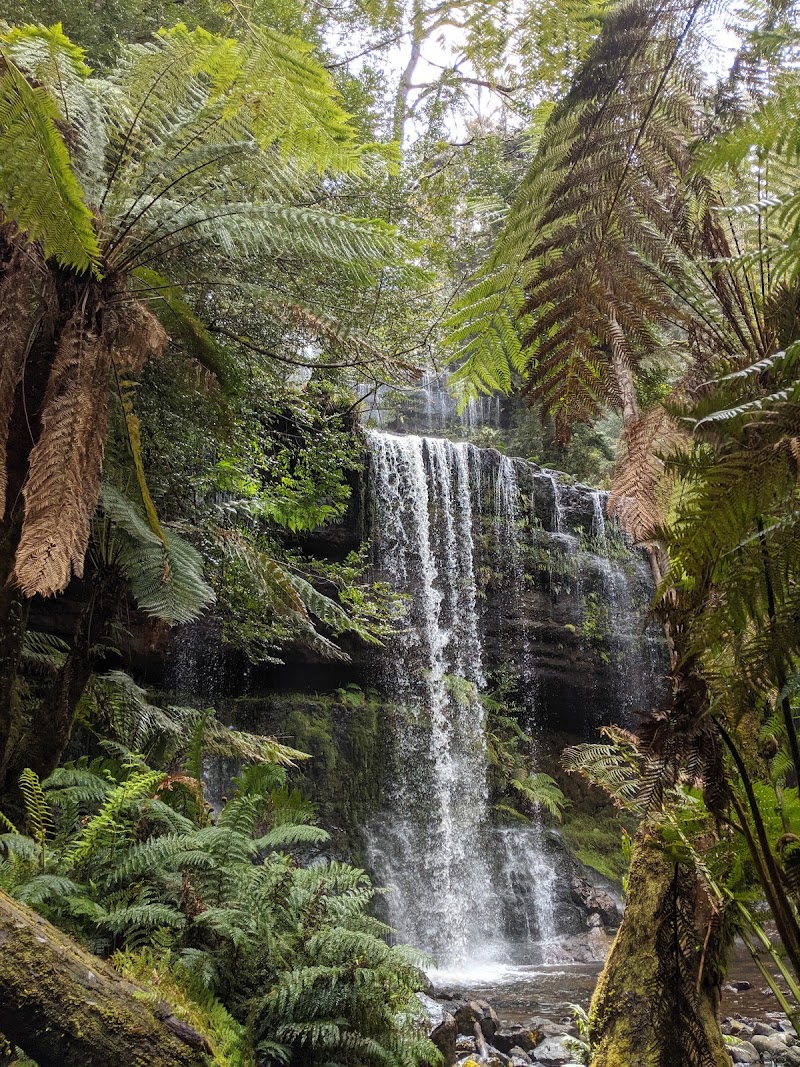 Russell Falls - Russell Falls, National Park TAS 7140, Australia