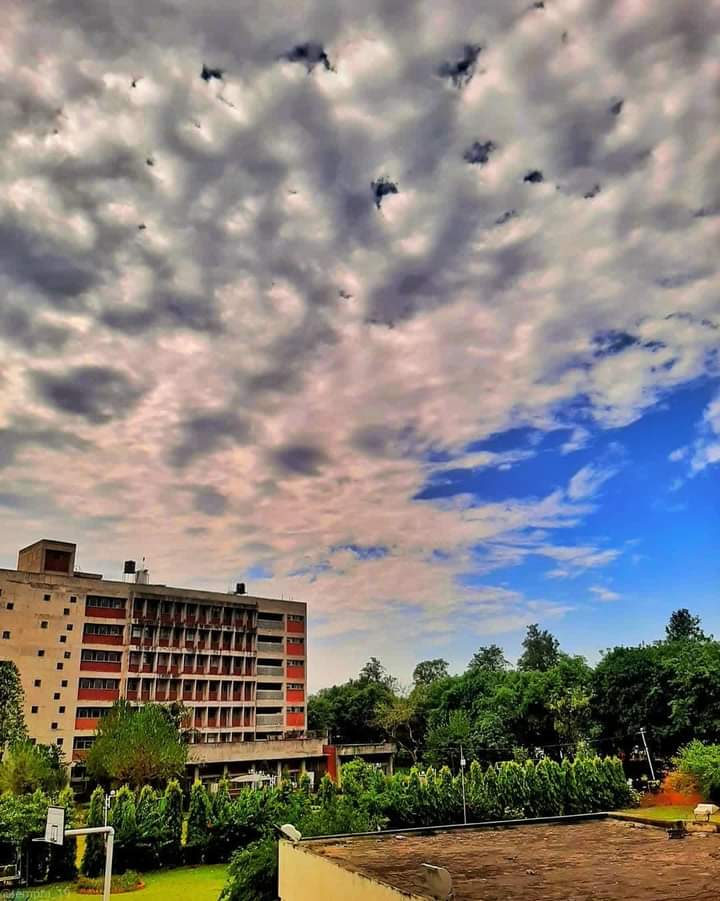 Panjab University - Panjab University, Sector 14, Chandigarh, 160014, India
