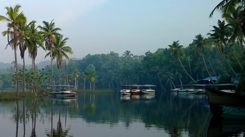 Gaviya Tours - Gaviya Tours Club Mahindra Road, Poovar, Thiruvananthapuram, Kerala 695513, India