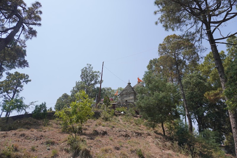 Hippie Hill - Hippie Hill JMR7+2HM, Mat, Uttarakhand 263601, India