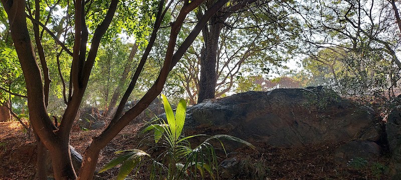 Beauty Spot Park - Beauty Spot Park 400, 2nd Cross, 2nd, Main Rd, KHB Colony, Ambedkar Nagar, Maruthi Layout, Viruprakashapura, Bengaluru, Karnataka 560095, India