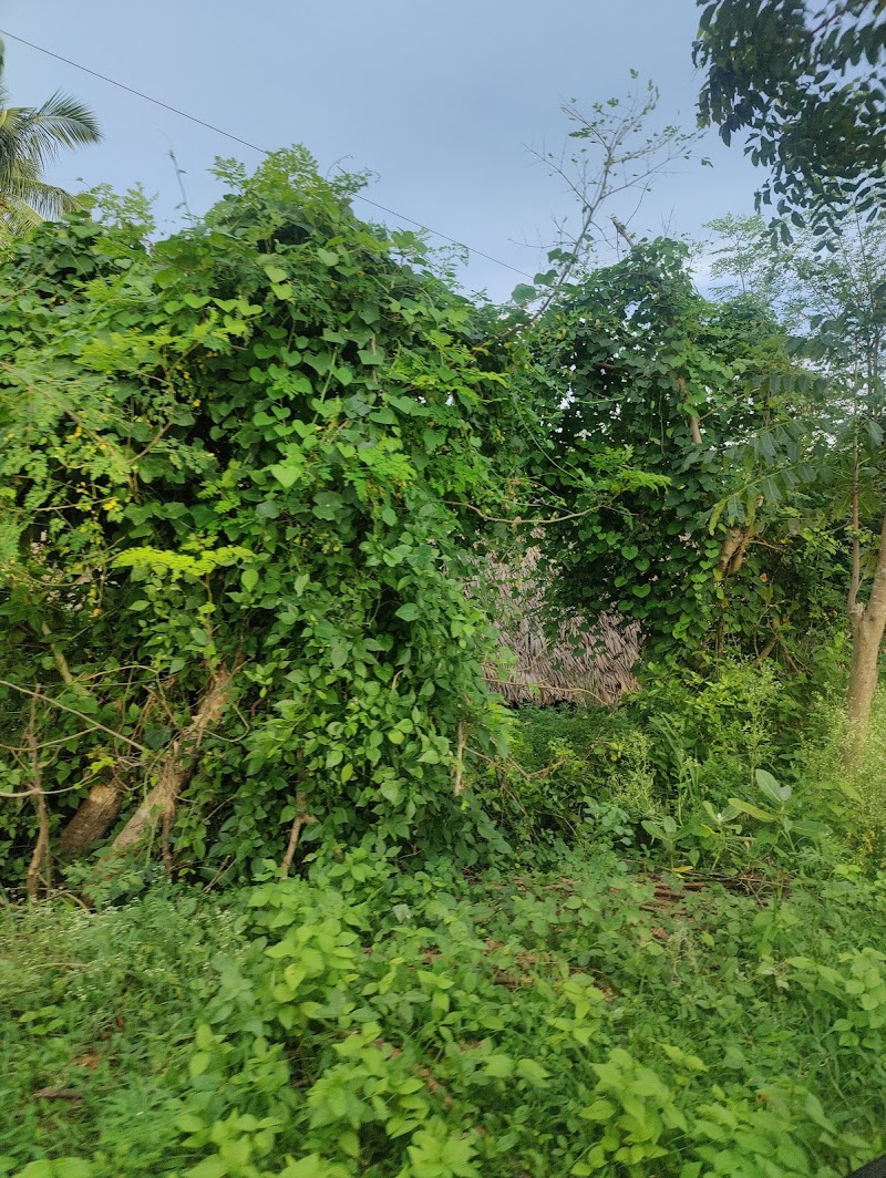 Ananthagiri - Ananthagiri, Andhra Pradesh 535145, India
