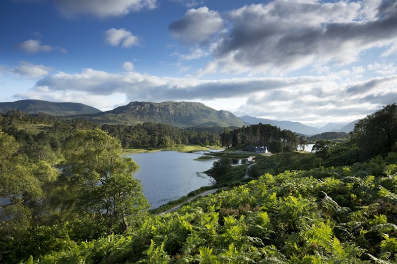 Glen Affric - Glen Affric Cannich, Near IV4 7LY, UK