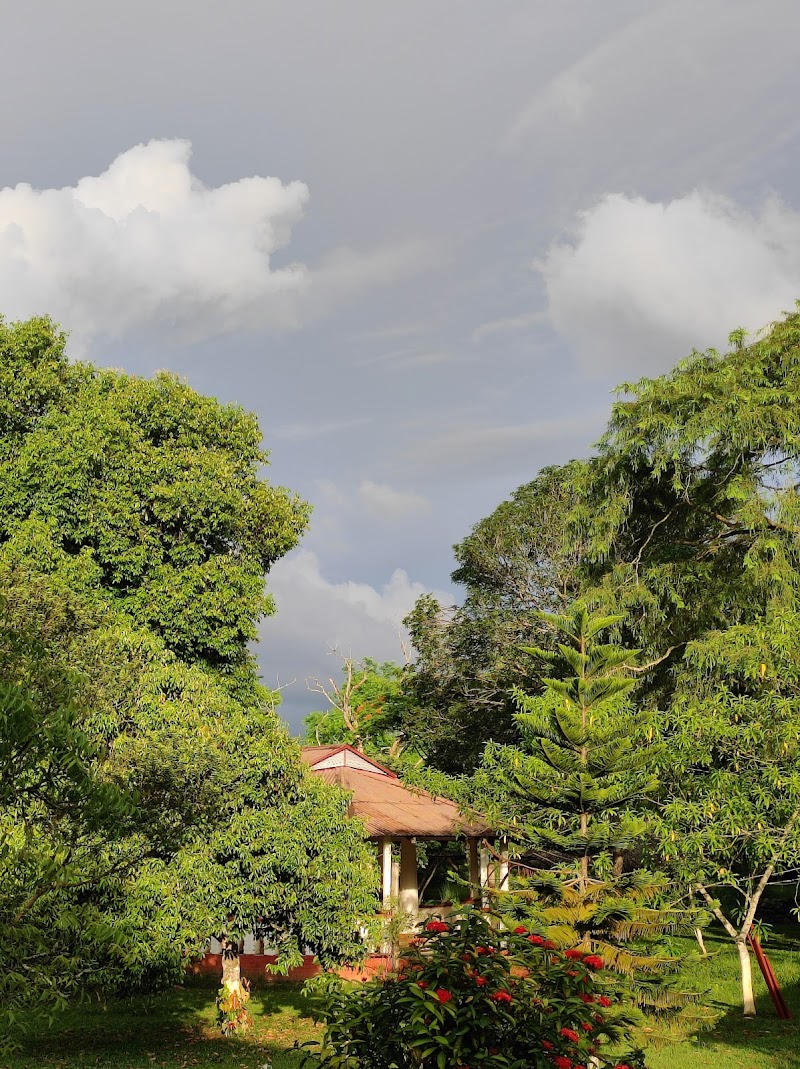 Puroni Bheti Tea and Farm Retreat - Puroni Bheti Tea and Farm Retreat, Haroocharai Tea Estate, Jorhat, Gayan Gaon, Assam 785006, India