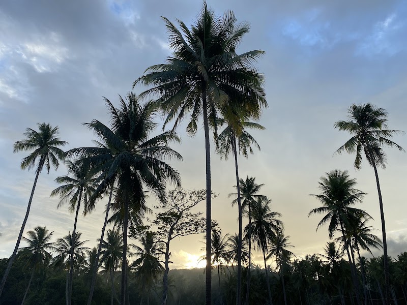 Ko Pha Ngan - Ko Pha Ngan Ko Pha Ngan, Ko Pha-ngan District, Surat Thani 84280, Thailand