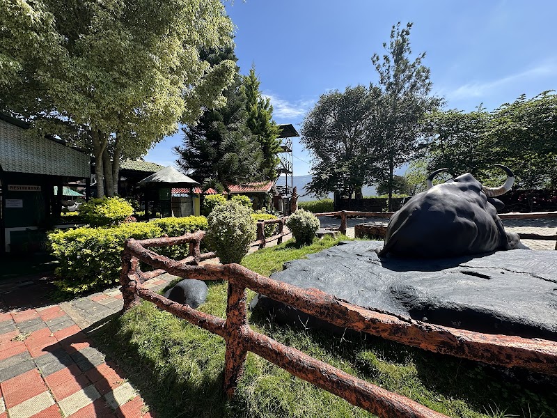 Misty Wood Resorts