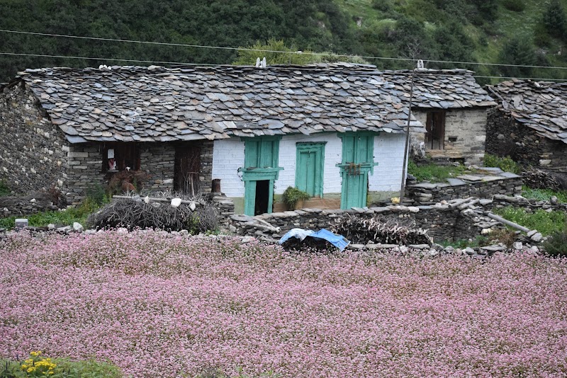 Dugtu - Dugtu, Uttarakhand 262545, India