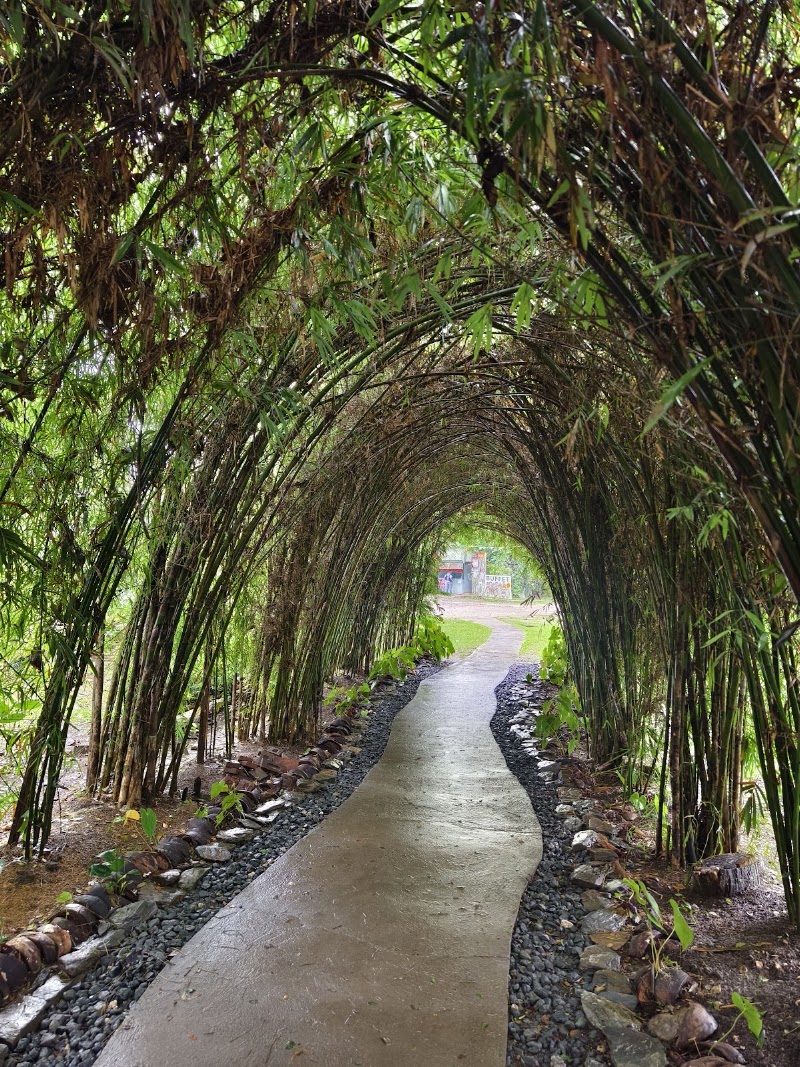 Bohol Enchanted - Agri-Cultural-Eco Park - Bohol Enchanted - Agri-Cultural-Eco Park, Bilar, Bohol, Philippines