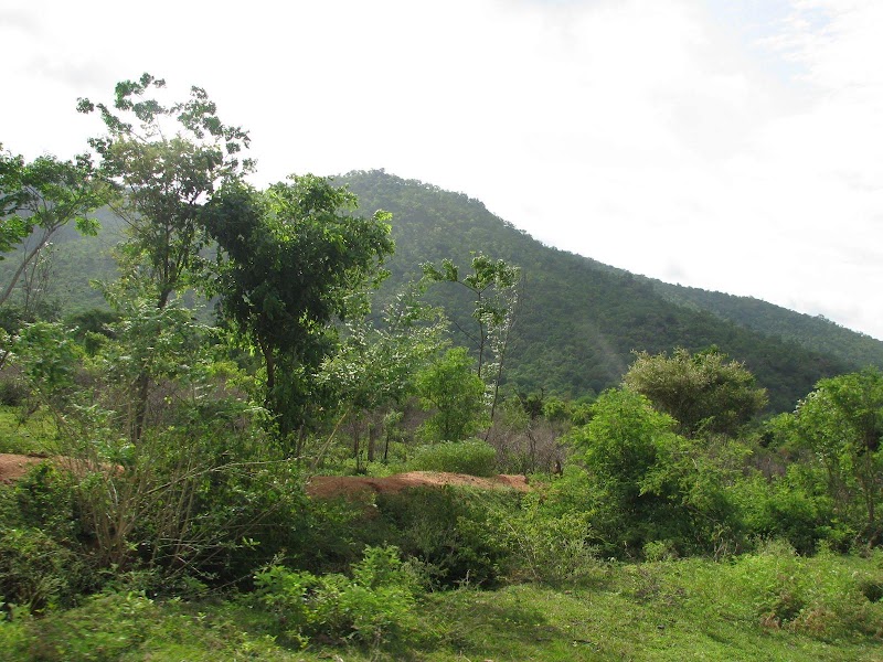 Muthathi - Muthathi, 8857+8M6, Basavana Betta Forest, Karnataka 571421, India