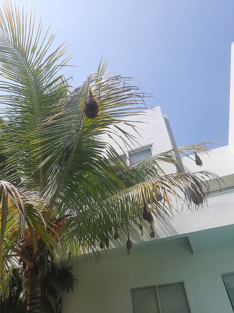 Gandipet - Gandipet, Telangana 500075, India
